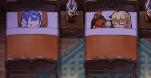 💤💤💤