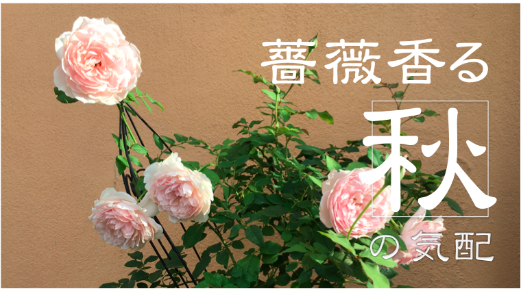 Top Tweets For ニューサ Twstalker