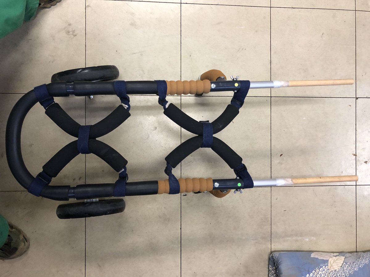 おじいちゃん犬 前輪は自在キャスターだよ 後輪は 鬼キャンっぽい 足はフレームより広がってる 歩かなくても縦になって過ごせるのが気に入った そのまま寝る事もok 肉球も角質とれて ぷにぷにだぜ 迷ってたら レッツチャレンジ 犬用