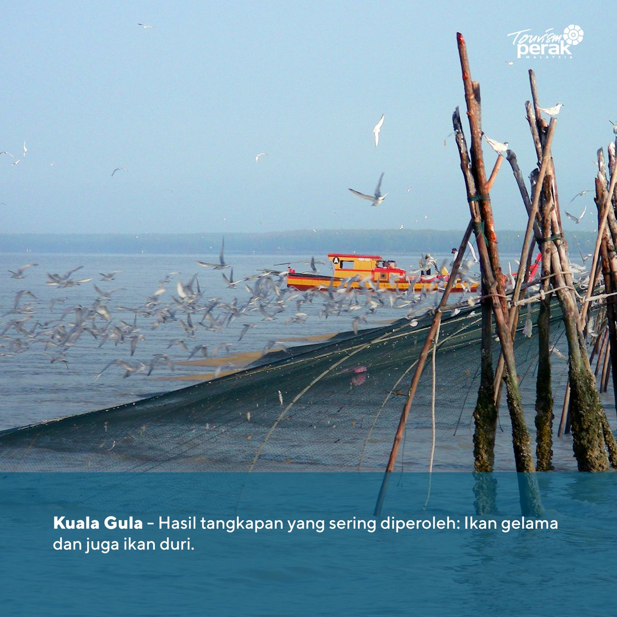 PerakTourism's tweet photo. 🎣���� Sempena Hari Memburu dan Memancing Sedunia, kami nak kongsikan port baik punya untuk kaki pancing sekalian

(Part 1)
#TravelPerakLah https://t.co/6qb6AlNkf4