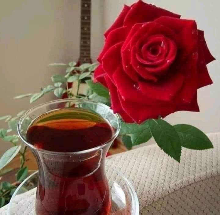 SevdaAs39628561's tweet photo. @dilekevcimen191 Günaydın mutlu sabahlar olsun https://t.co/NxHFAGIHQM