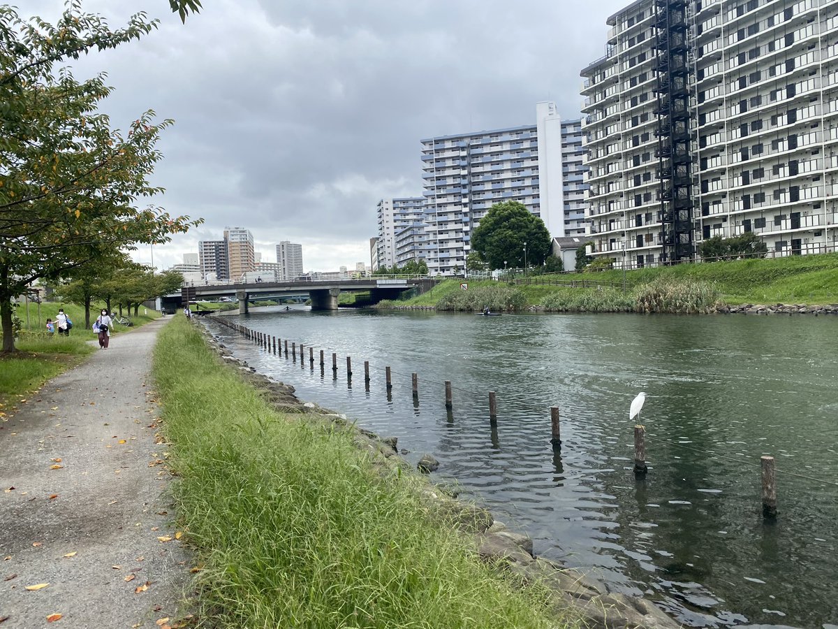 旧中川はクロダイの聖地…
目視で軽く20匹はいた😂

釣れるんかな🤔

#旧中川