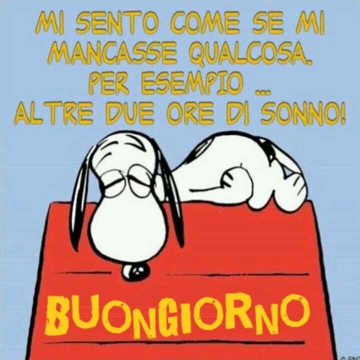 alfredoappiani's tweet photo. 🤭🤭🤭🤭🤭 https://t.co/pIbzEEJsW8