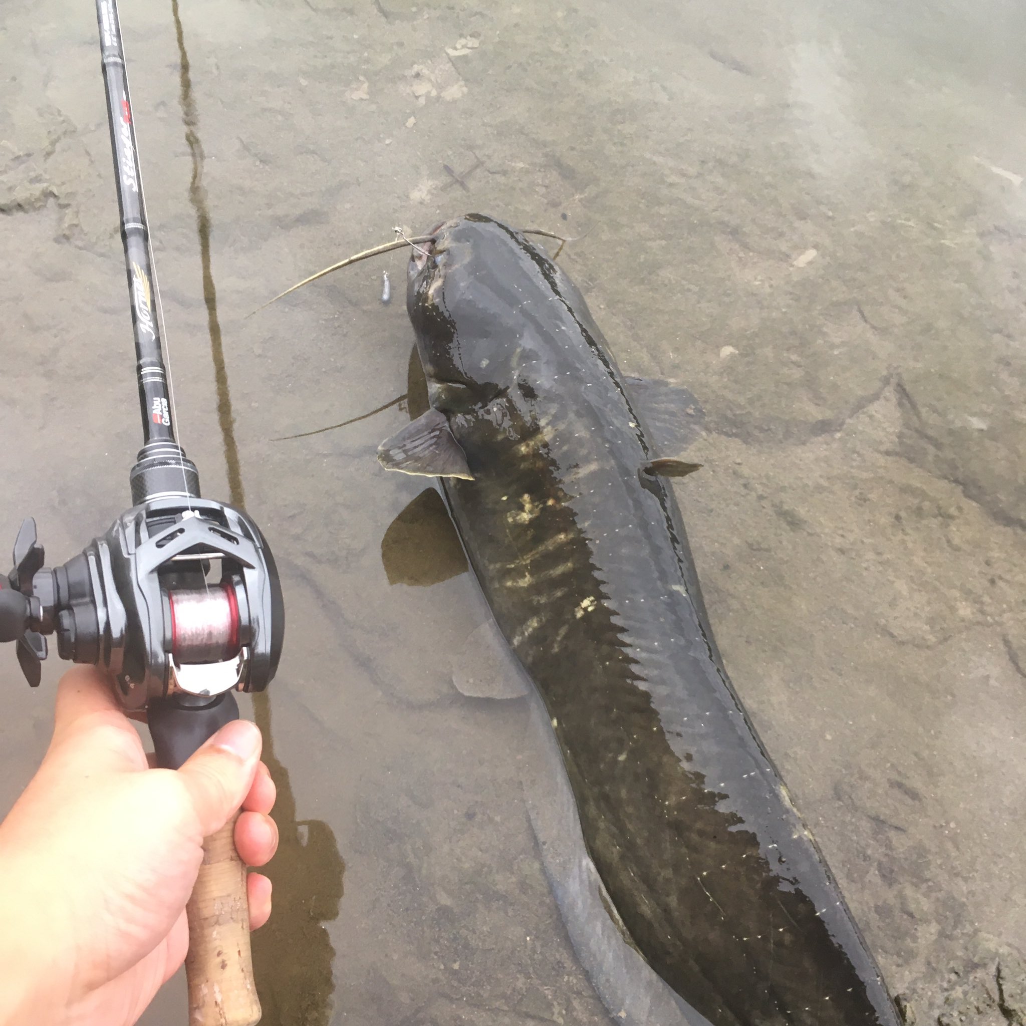 多摩川スモール Twitter Search Twitter