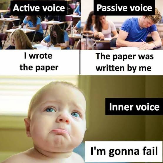 LanguageMemes tweet picture