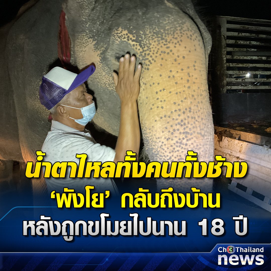 มึงง ขนาดหมาแมวบ้านเราหายไปหนึ่งอาทิตย์ เรายังเสียใจเลย แต่ลุงเสียช้างไป18ปีแล้วกลับมาเจอกันได้ กูเข้าใจความรู้สึกลุงเขาเลย ยินดีด้วยครับ