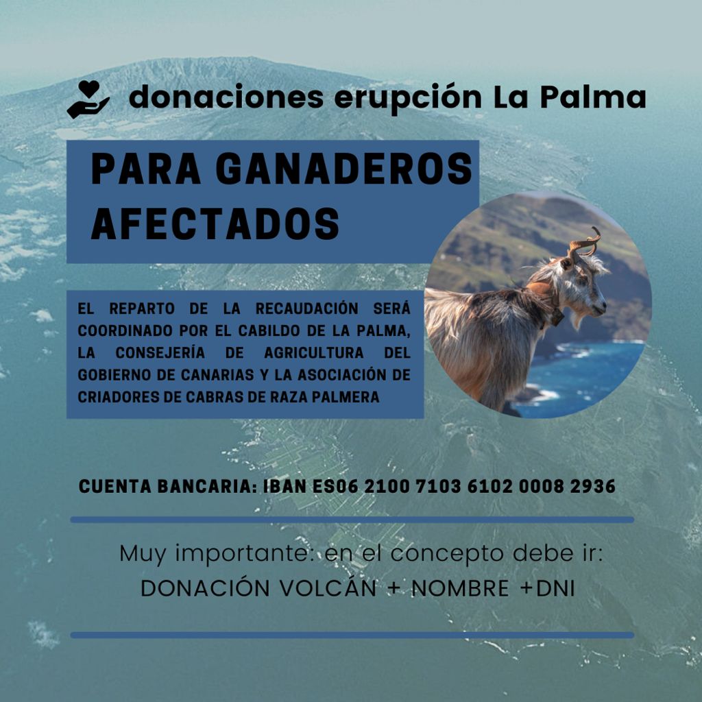 Proyectos de Agua en las Islas Canarias tweet media