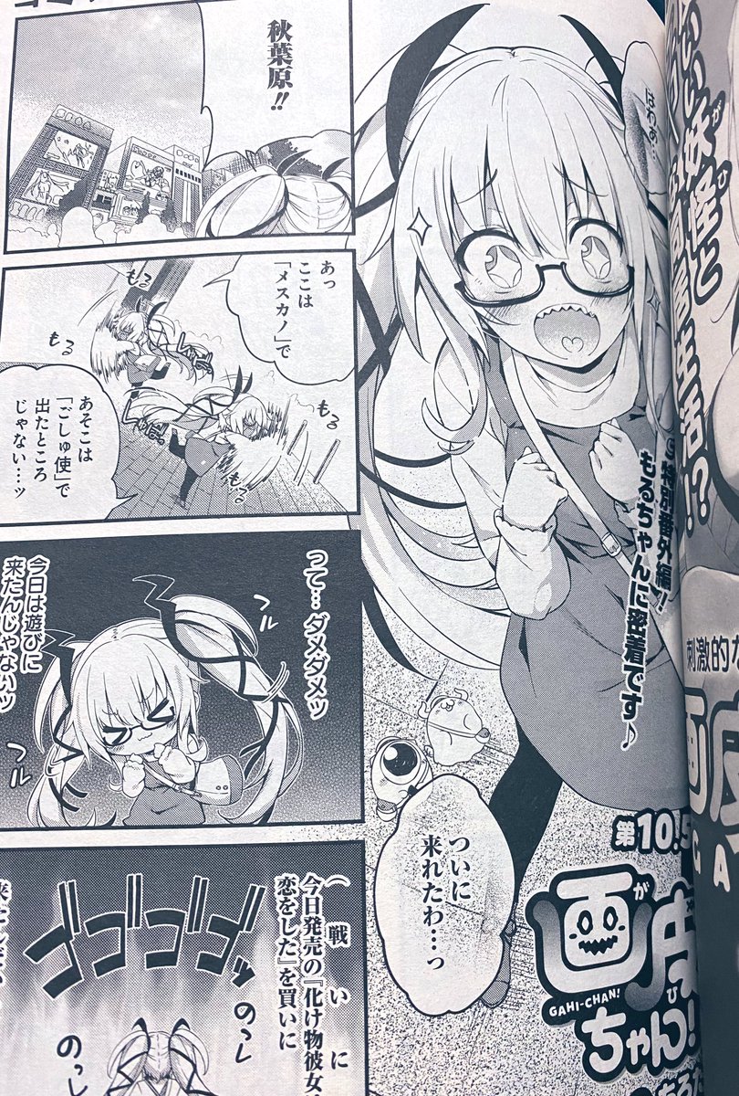 あさってぞ〜♡
番外編ぞ〜♡

今月もちびちゃんぷみちゃん見つけられるかの〜♡ 