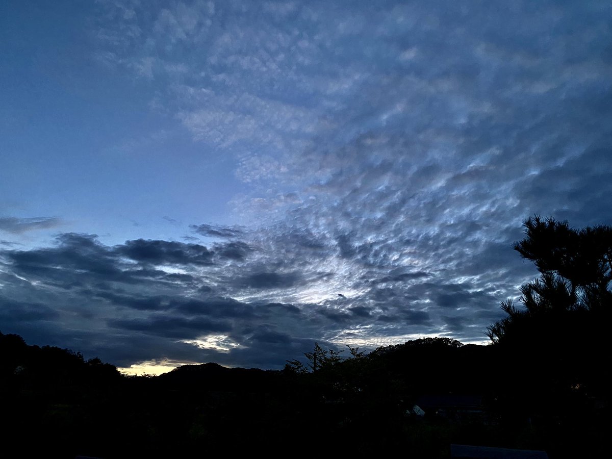 지금 하늘이래요