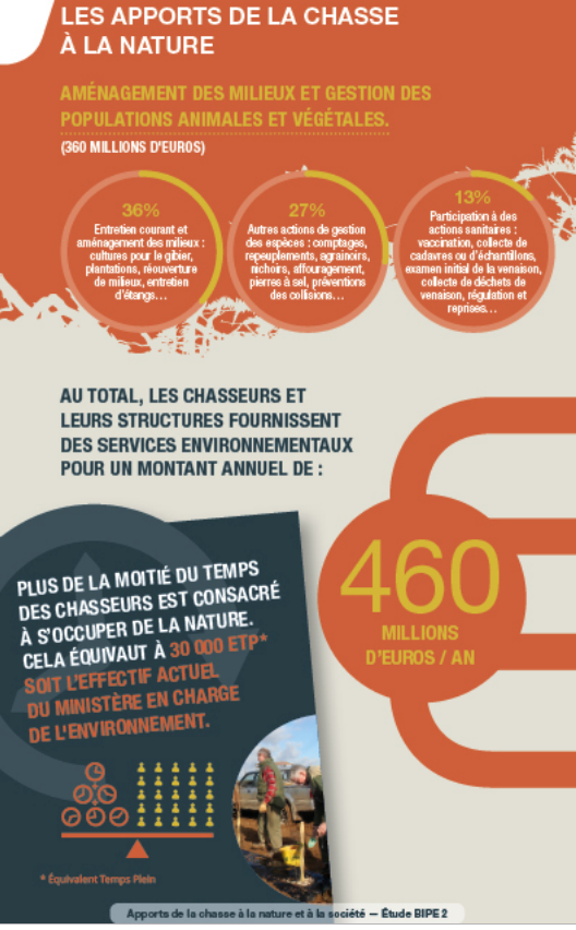 Chat-Margotteur tweet media