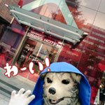 ツイートに含まれる画像