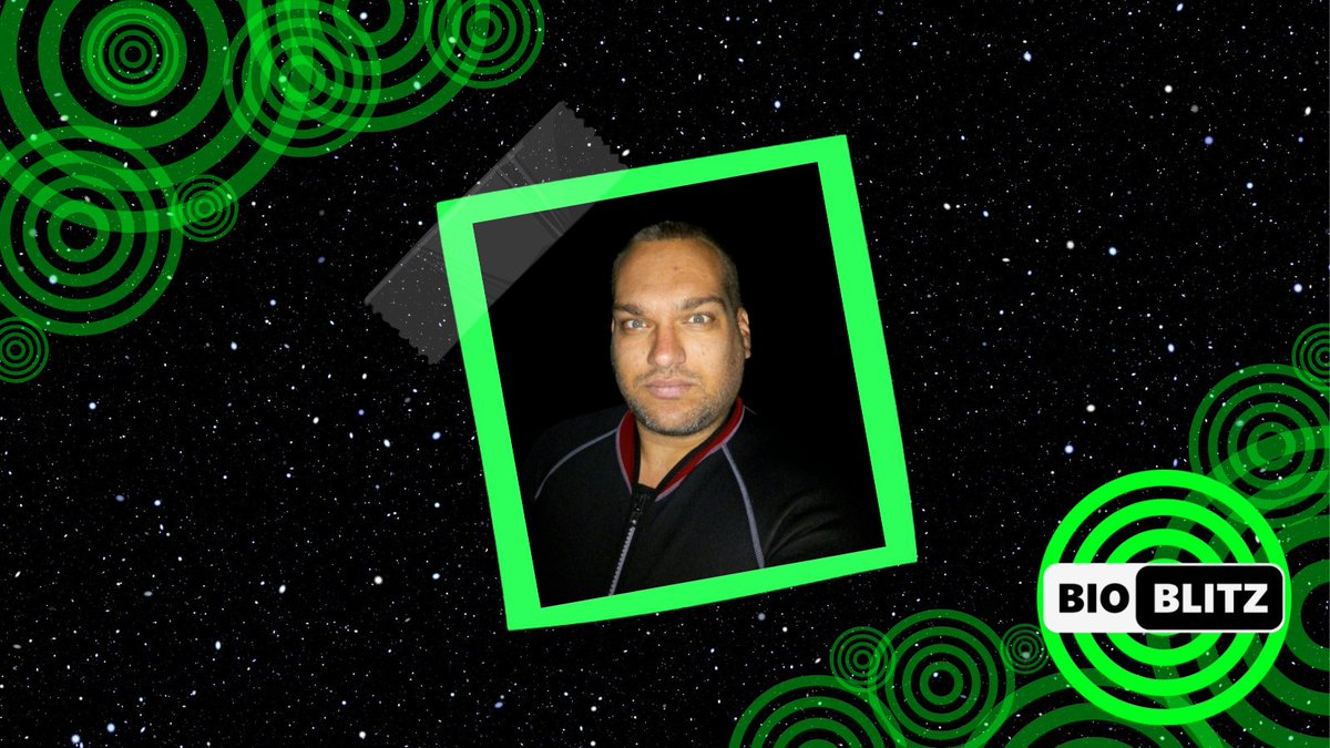 ERNIntersections tweet media