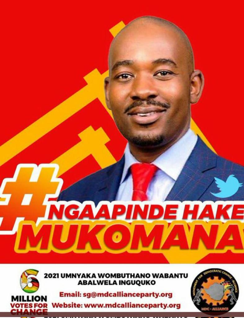 Can he lead, yes he can @nelsonchamisa