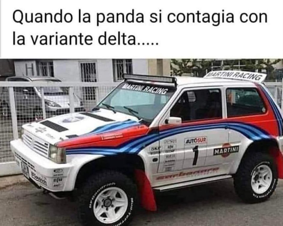 SolariPaolo's tweet photo. #PANDA contagiato dalla variante #Delta !! 😹 https://t.co/tc23UhZQDt