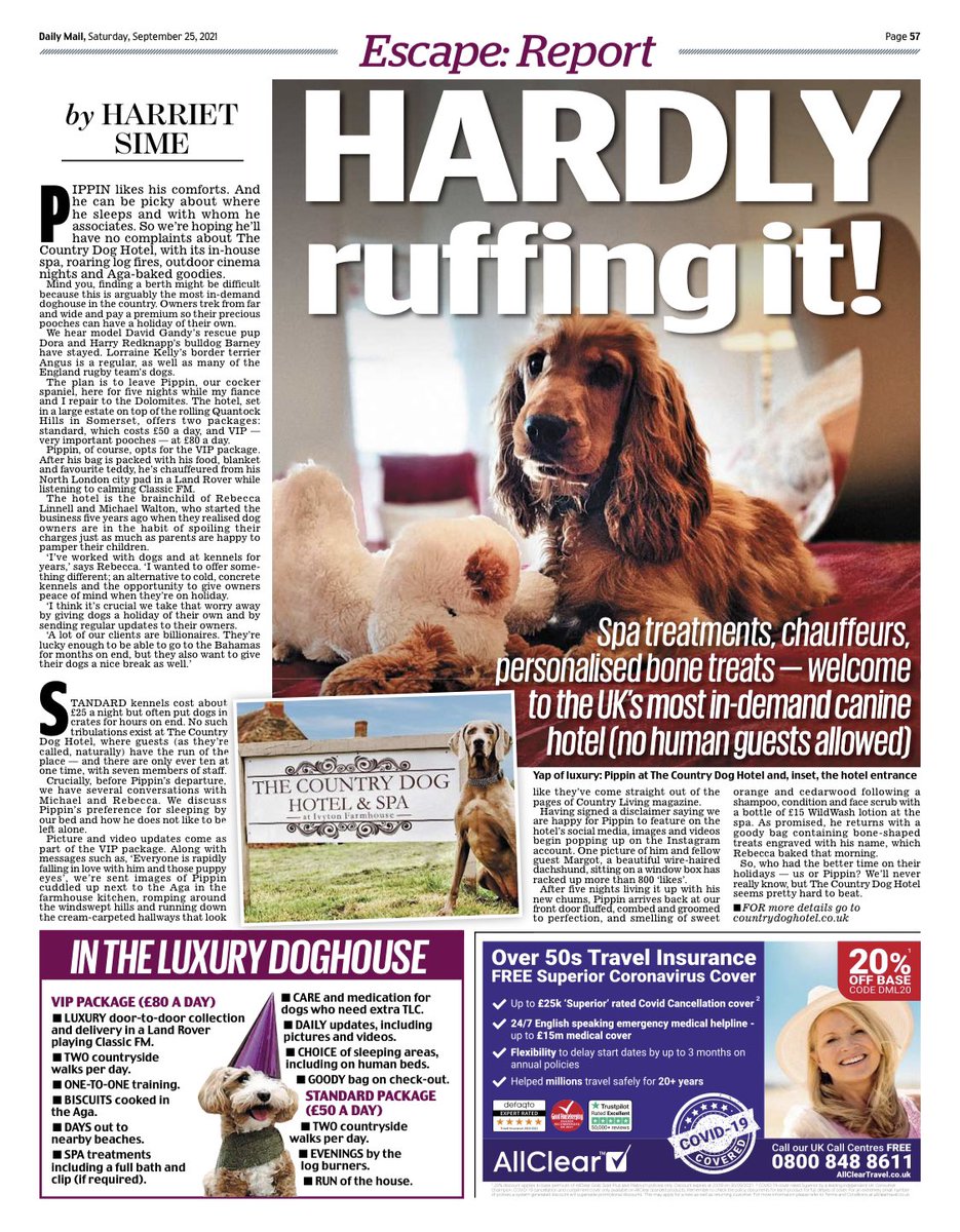 Hattie Sime tweet media