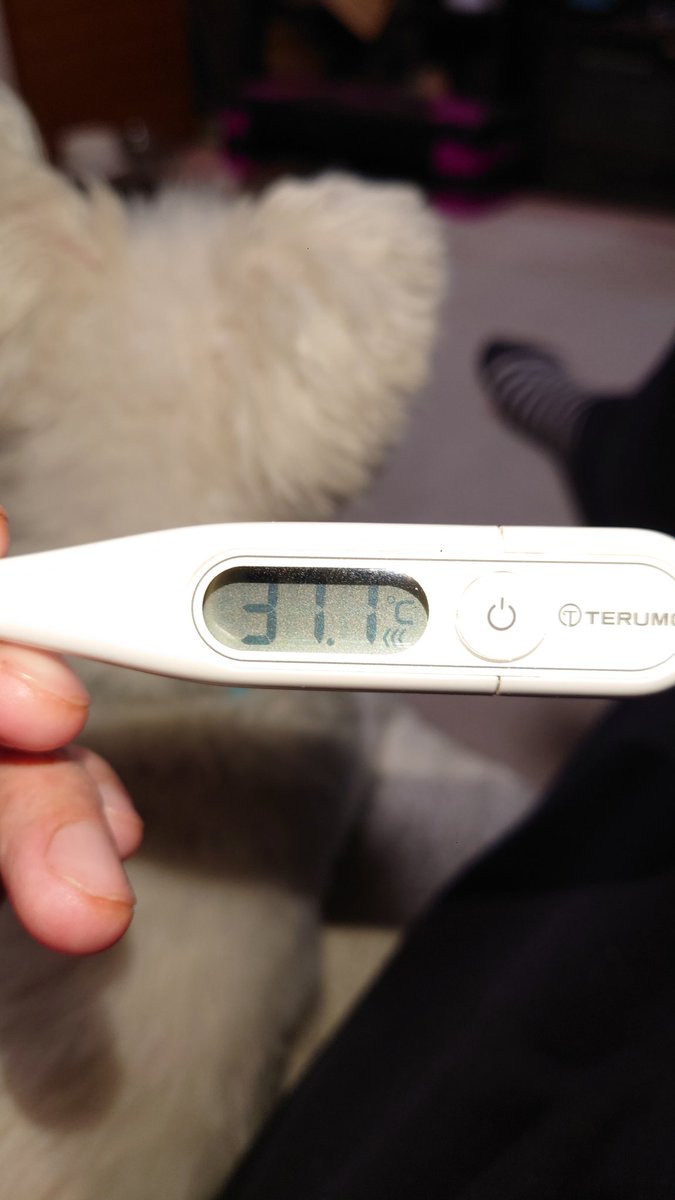 udukiaoi's tweet image. 来た来た、来やがった。。。