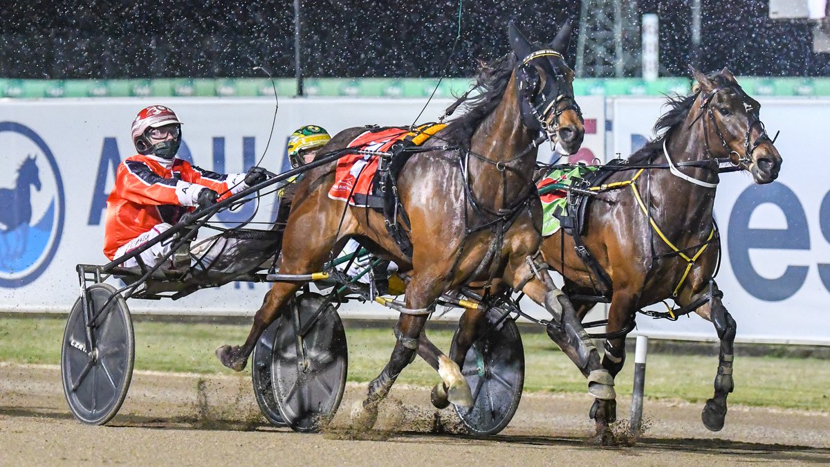 ClubMenangle's tweet photo. 𝗛𝗔𝗥𝗡𝗘𝗦𝗦 𝗕𝗥𝗘𝗘𝗗𝗘𝗥𝗦 𝗡𝗦𝗪 𝗣𝗜𝗡𝗞 𝗗𝗜𝗔𝗠𝗢𝗡𝗗 𝗦𝗧𝗔𝗞𝗘𝗦
https://t.co/vhVLP9aENy
🐴LOVIN MISS DIXIE 
𝗧𝗥𝗔𝗜𝗡𝗘𝗥: Darren McCall
𝗗𝗥𝗜𝗩𝗘𝗥: Chris Geary https://t.co/MKrqeth0XQ