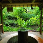 日本庭園情報メディア『おにわさん』-The Japanese Gardens-のツイート画像
