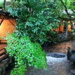 日本庭園情報メディア『おにわさん』-The Japanese Gardens-のツイート画像