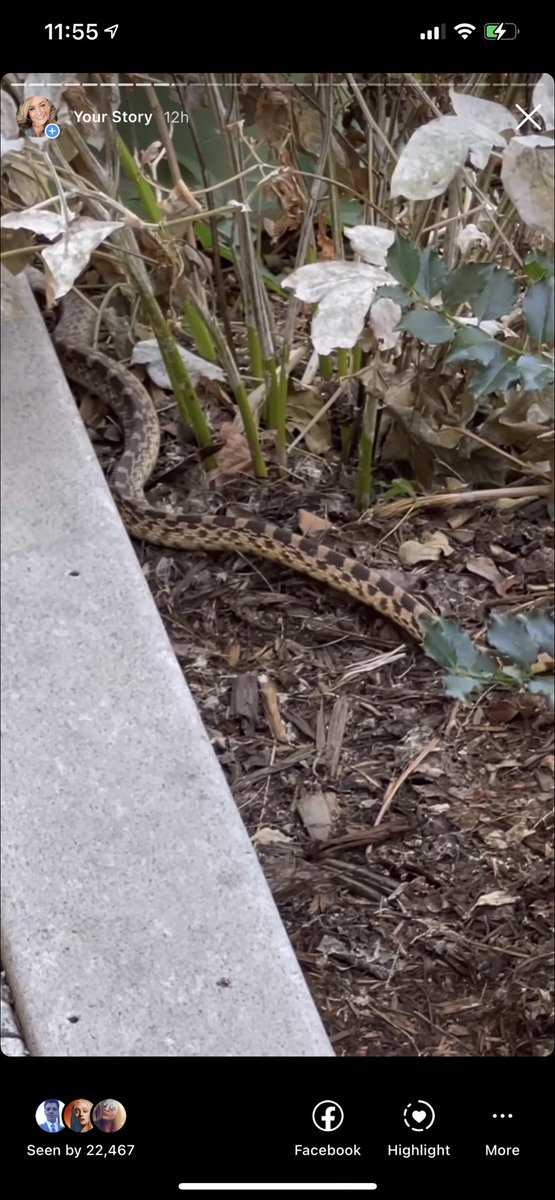 Kendall Rae tweet media