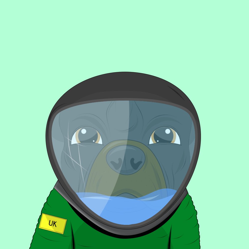 Due to high demand my first giveaway had, I got one more doggo to give worth over 50 ADA 🙌🐶💙

1.  Join our discord discord.gg/kngwd95jWk &amp; follow <a href="/DogsOnTheChain/">Dogs On The Chain | Cardano NFTs</a> 
2. Tag 3 friends 🗣
3. Like/Retweet💙🔄

Winner will be announced 09/27 at 9pm UTC on our DISCORD
#Cardano #NFT