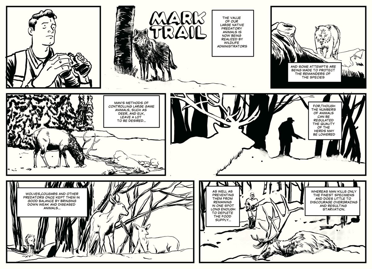Some Mark Trail samples-not sure I ever shared all of these. One day I'll do a daily strip.