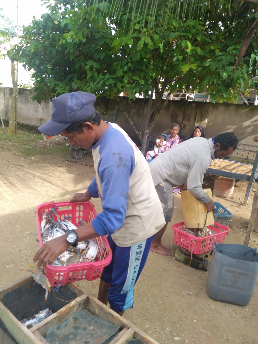 SaidSelvi's tweet photo. Jumat (24/9), Selvi Rosiana Said, PPB Kab.Bombana, di KUB Rajungan Ds.Batu Sempe Kec.Mata oleo, tangkapan rajungan, Alat tangkap Bubu, 1 Trip 7Kg, Harga Jual 70.000/Kg
#GiatLuhkanSatminkalMaros
#Bombana
#Tangkap 
#Produksi https://t.co/Cmkt5SLqCQ