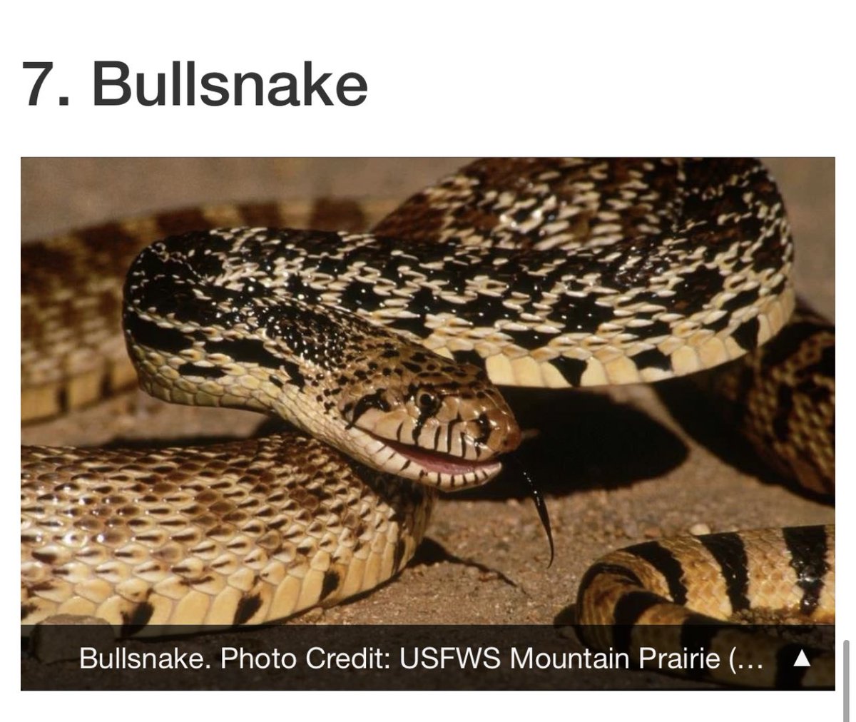 Kendall Rae tweet media