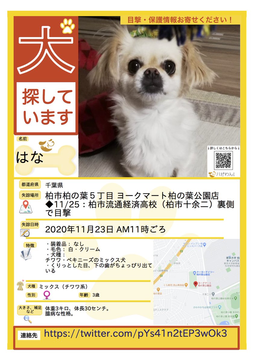 タグ 千葉県 の注目ツイート 3ページ目 メガとんトラック