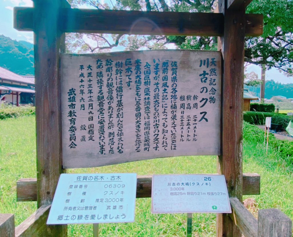 ギャラドスのtwitterリアルタイム検索結果 Meyou ミーユー