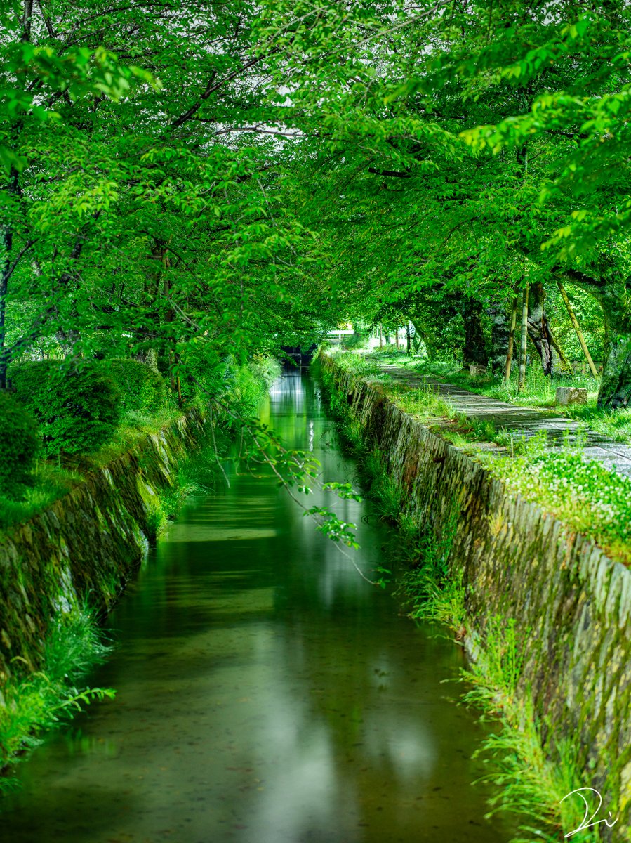 うさだぬ 極彩色の京都 写真集 V Twitter 深緑に包まれる 夜の京都 極彩色の京都