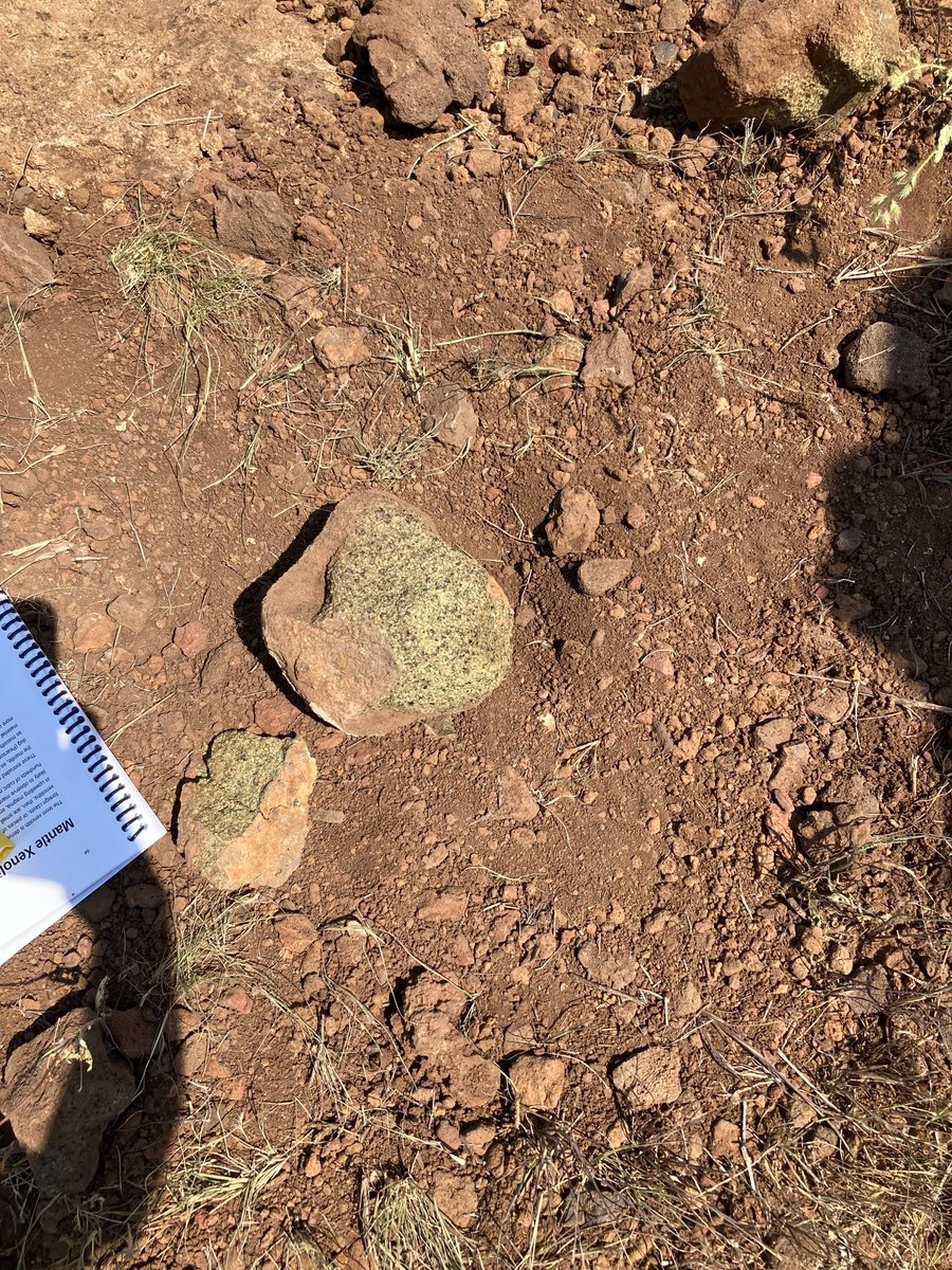 Sam Moruzzi tweet media