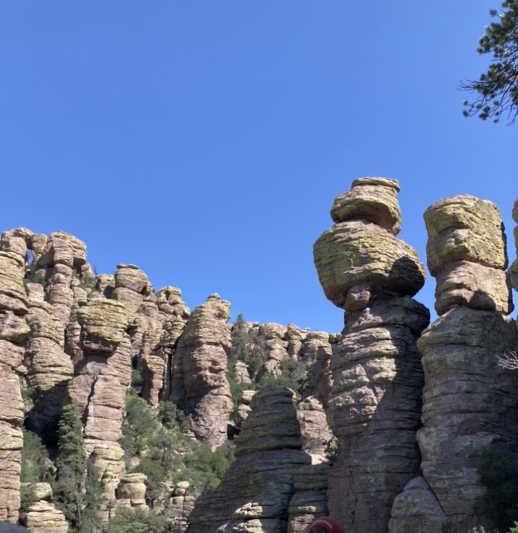 Sam Moruzzi tweet media