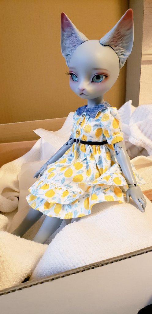 1PIKIoEKAKI's tweet photo. 出来心でブライス用のお洋服着せたらパチパチだけど着れた…これは希望
#PIPOS https://t.co/MyxeithWOw