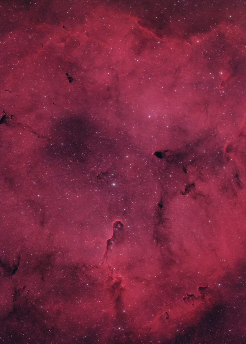 nightskycamera's tweet photo. What is the largest creature? Perhaps a whale? Nope, it's the celestial elephant residing in the Elephant's Trunk Nebula.

#astrophotography #nightphotography
#space #nightsky #universe #longexposure
#astronomy #galaxy #nebula https://t.co/2k6bvl5qdU