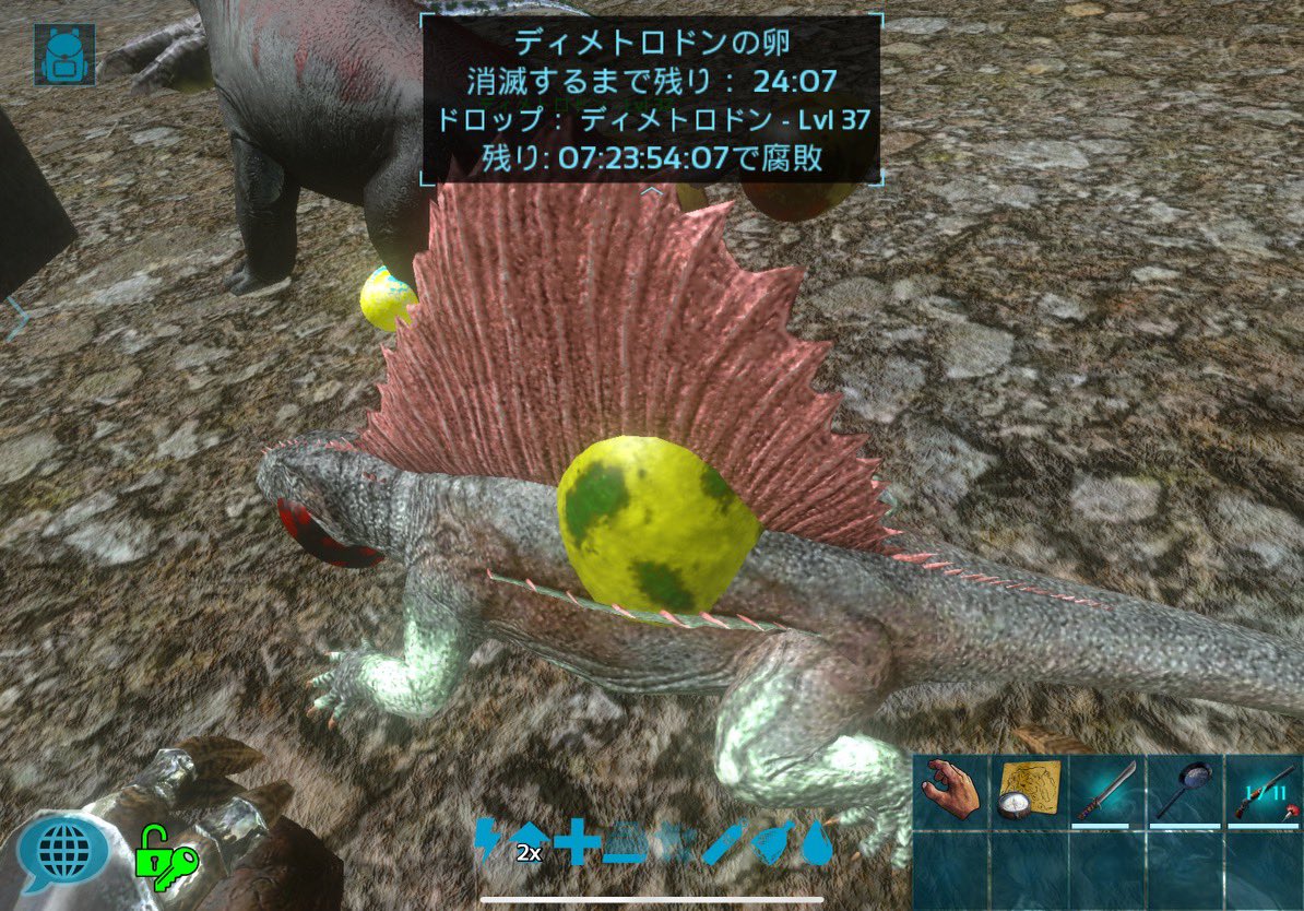 ｚｐ まゆまこ Ark 2年前くらいにこいつは水の中じゃないと卵産まないとか言って 元相棒が苦労してたんだけど 今更だけど可愛いからテイムしてみたら 地上で卵ガンガン産むのw 変更された 勘違いだった W どちらにしろ今更の新しい発見って新鮮で楽しい