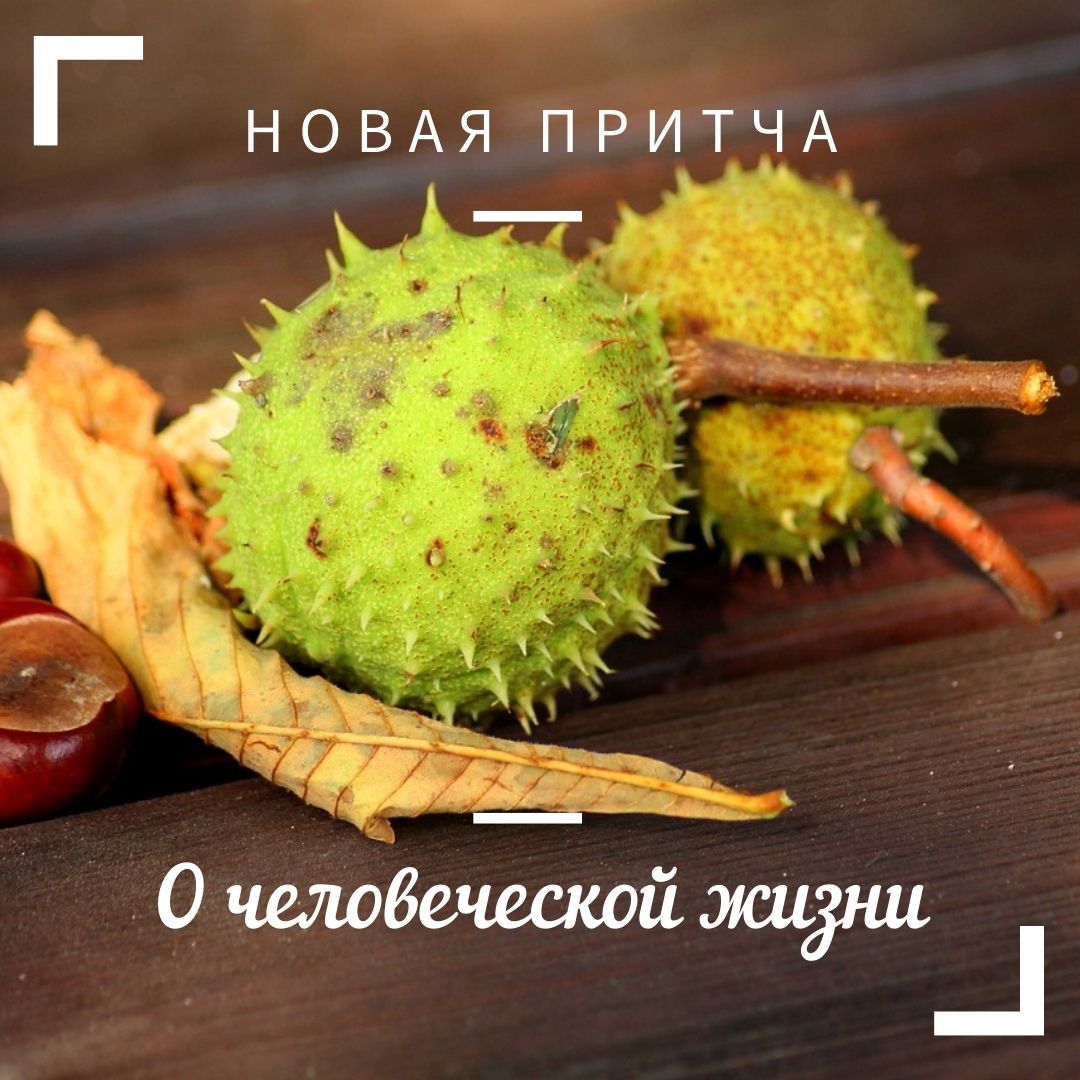 Новая притча на нашем сайте:

7ja.by/articles/zhizn…

#7jaby