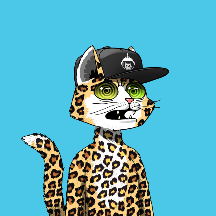 sirohedge's tweet photo. My new favorite #NFT project. @marscatsvoyage is sweet 🔥🔥🔥

 #MarsCatsVoyage Whuddup! https://t.co/847G27jouz