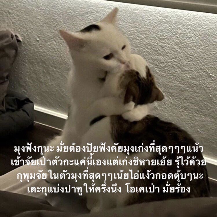 ถึงเธอทุกคนเลยครับ