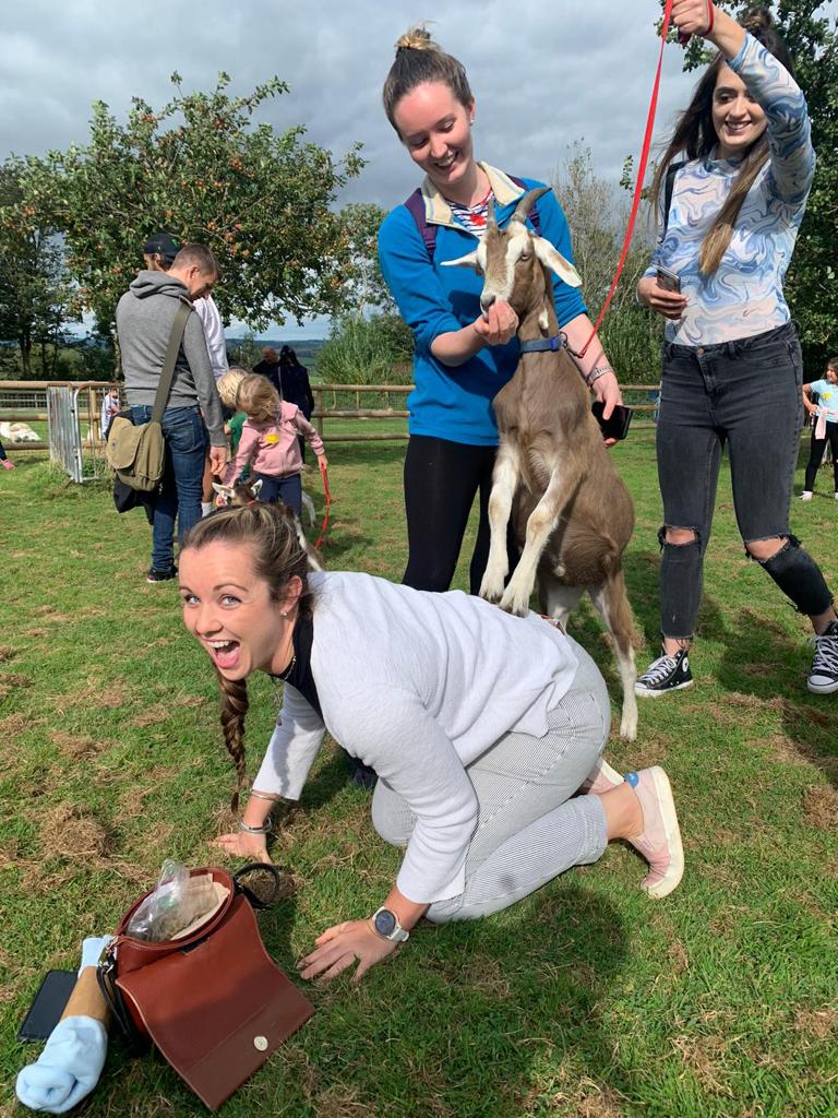 PennywellFarm's tweet photo. Never a dull moment when there are goats involved! #goats #GoatsMakeLifeBetter #goatwalking https://t.co/ck28voqgba