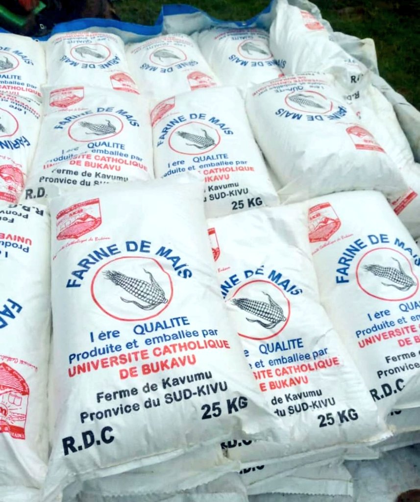 MaishaRdc's tweet photo. #BUKAVU_SK_RDC: Farine de maïs produite par l'Université Officielle de BUKAVU dans sa plantation de #KAVUMU. Voilà ce que les facultés d'Agronomie devraient faire dans chaque domaine de l'agriculture pour contribuer à la lutte contre la famine en RDC.@TheoKASI @minagri_rdc https://t.co/RdHhBPWKfb