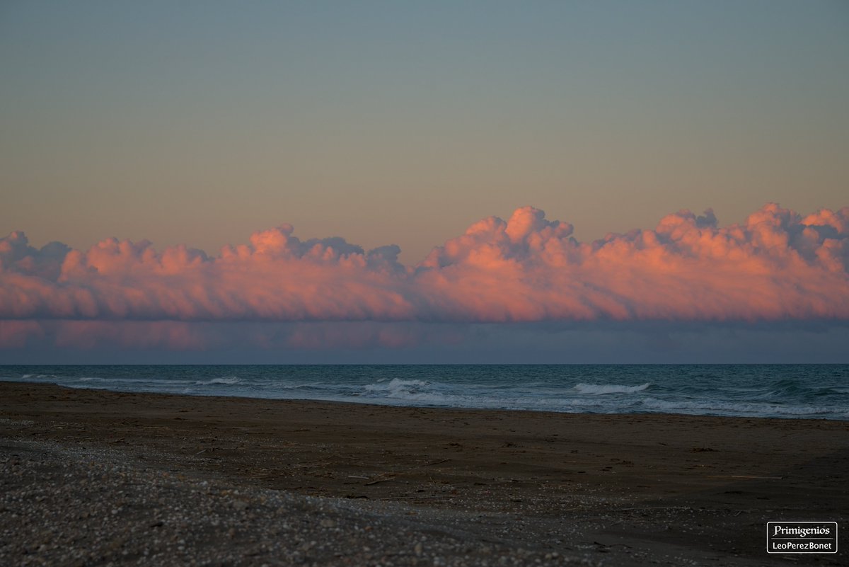 Primigenios_'s tweet photo. “La Barra del Trabucador II” - Sant Carles de la Ràpita - Tarragona - 2021

#santcarlesdelarapita #landscape #landscapephotography #deltebre #nikond800 #nature #naturephotography #photo #photooftheday #wildlifephotography #tarragona #Mediterranean #deltadelebro #ebro #delta https://t.co/igiCw0razg