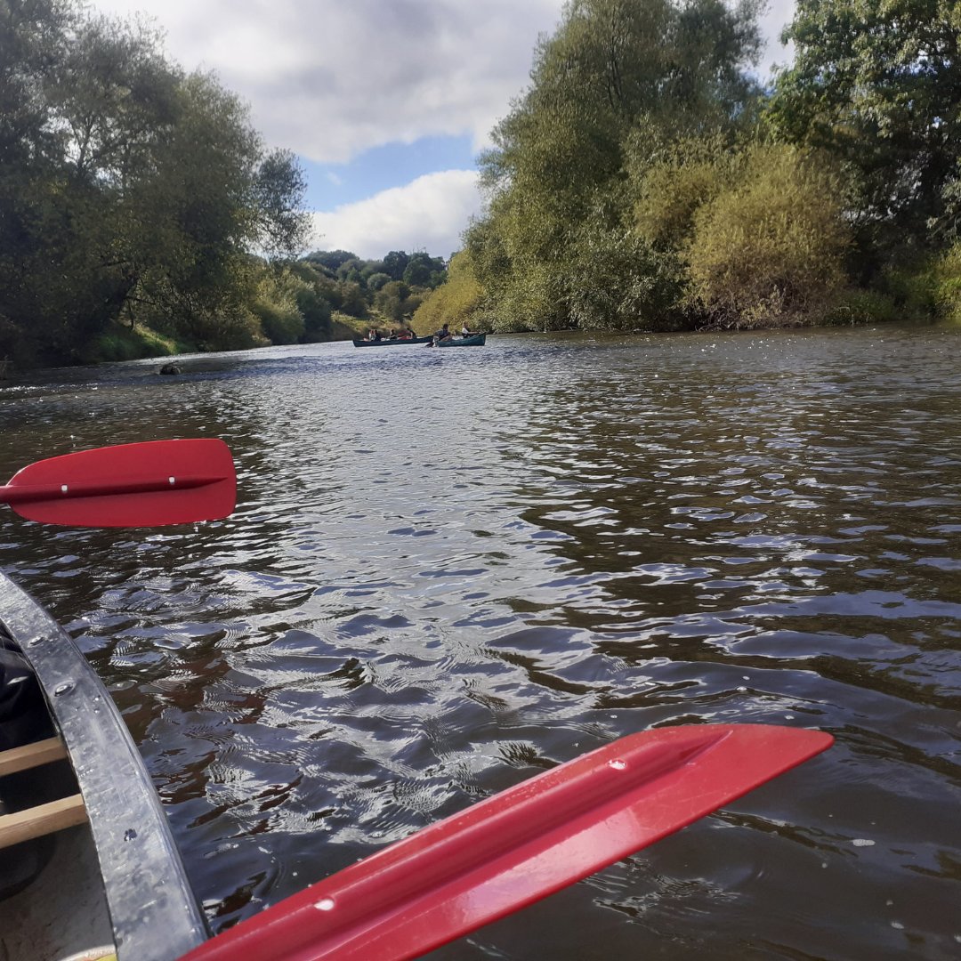 Baxter College tweet media