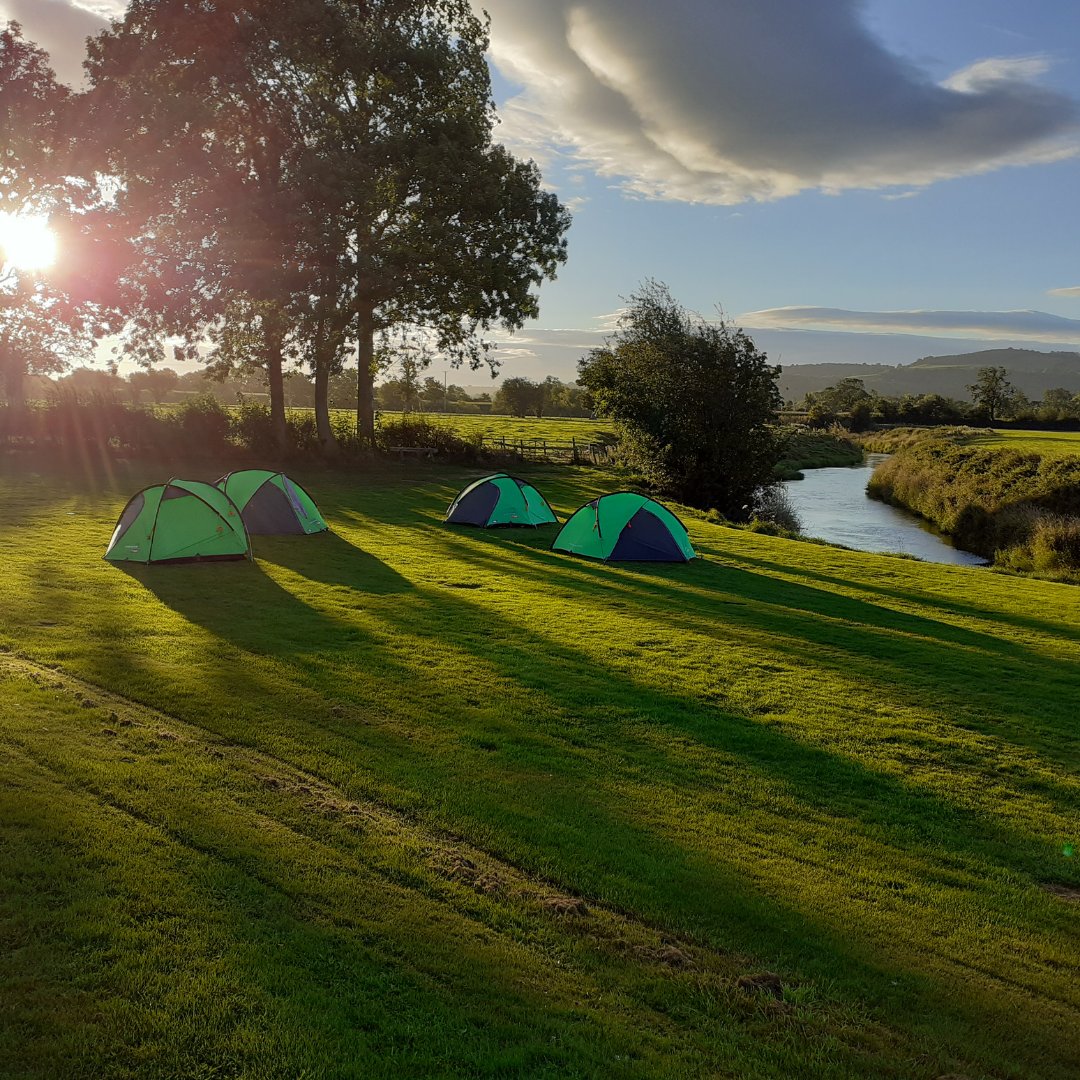 Baxter College tweet media