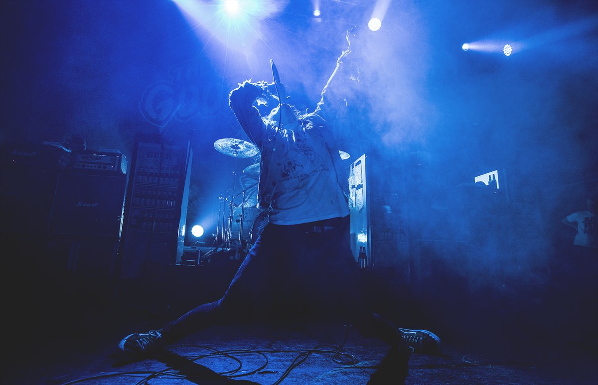 daniel pedersen tweet media