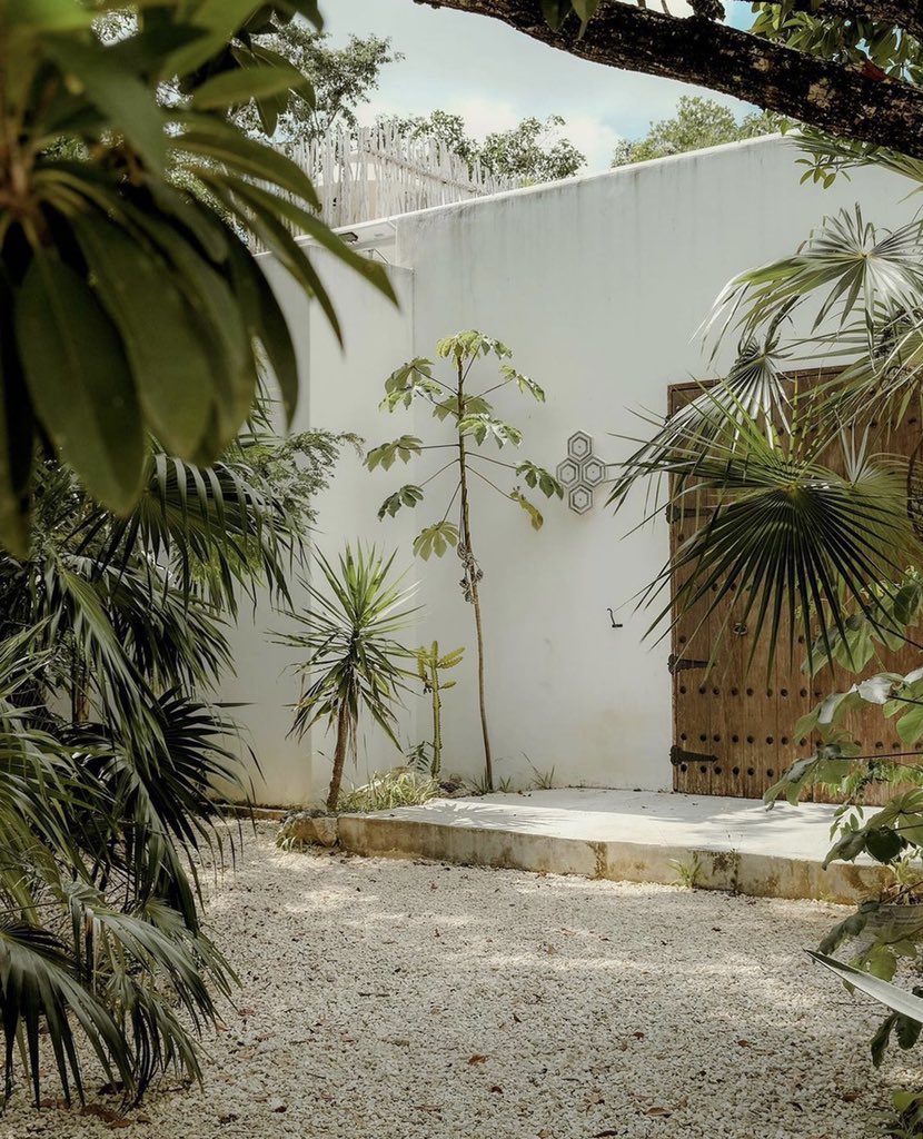 باسل السالم tweet media