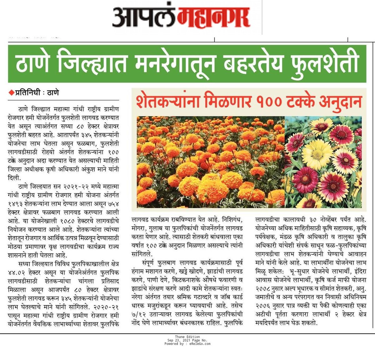 Info_Thane1's tweet photo. ठाणे जिल्ह्यात मनरेगा अंतर्गत फुलशेतीला चालना मिळत आहे. फळबाग, फुलशेतीसाठी रोहयो अंतर्गत शेतकऱ्यांना १००% अनुदान मिळत आहे.
#Thaneupdate @MahaDGIPR @dadajibhuse @SandipanBhumare @mieknathshinde https://t.co/l6VI5aawrD