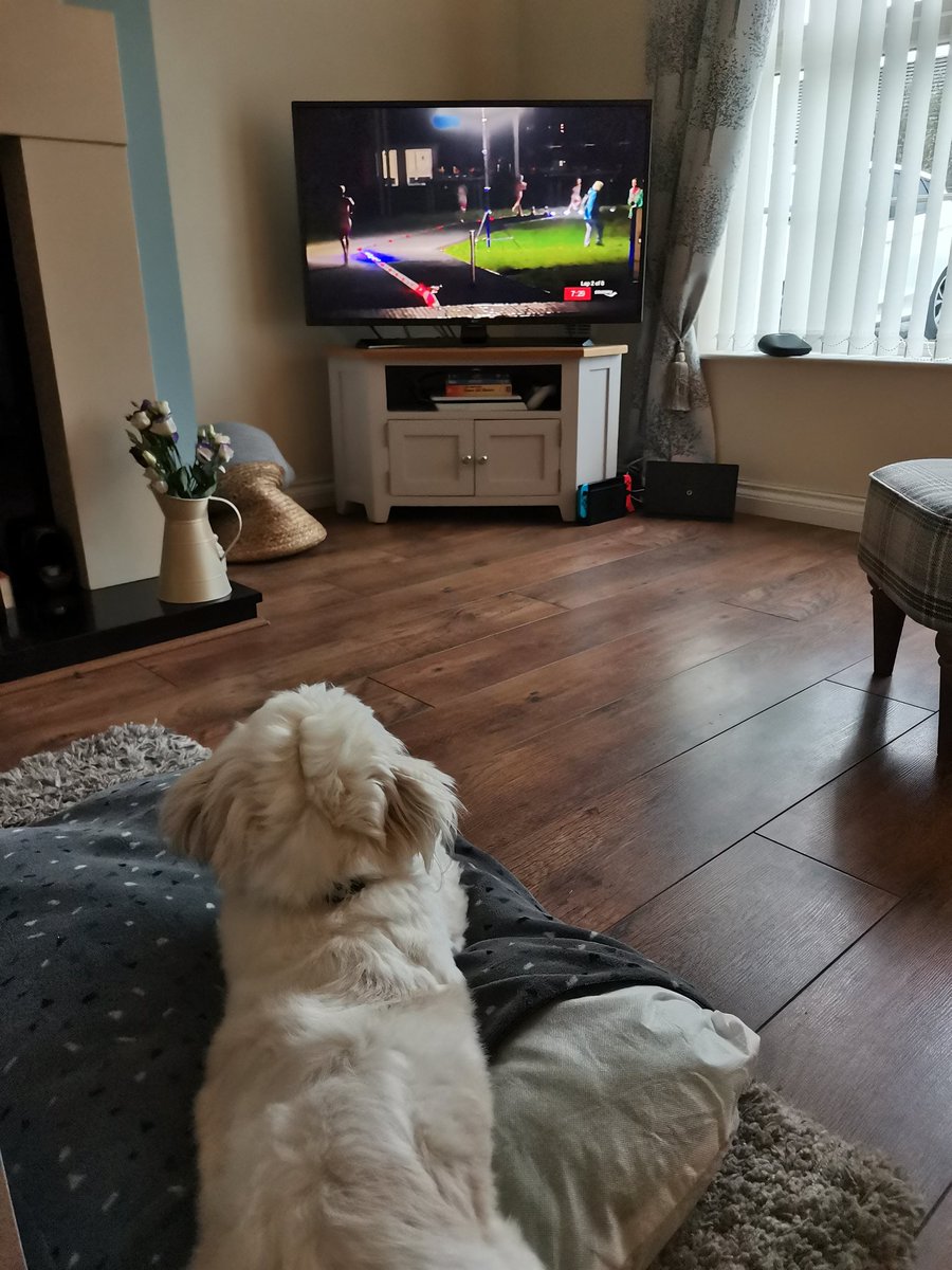 colinwright89's tweet photo. Norman transfixed by @saucony #endorphinproplus event 🐶🏃♂️ @SauconyUK #runforgood https://t.co/GXKZNB7Gso