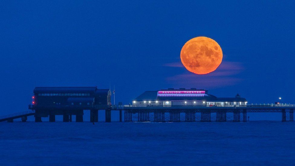 BorderLunar's tweet photo. Don't I look simply 𝗙𝗔𝗕𝗨𝗟𝗢𝗨𝗦 darlings? 😎😍

#Moon #HarvestMoon #Lunar #Beautiful #Modest #SeeMeShine 

https://t.co/JwJspaGMa8 https://t.co/J8bEnZKcDz