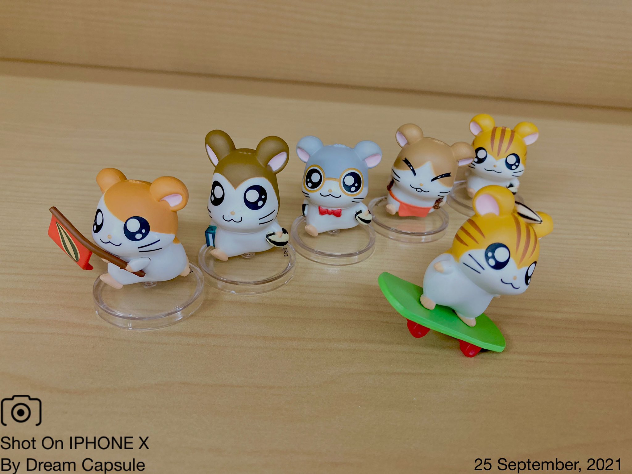 ドリームカプセルの中の人 公式 9月のプレゼントキャンペーン第64弾は ハムちゃんずがてちてち ならぶんです とっとこ ハム太郎てちてち大行進ちゅー 全6種セットを抽選で2名様にプレゼントします 応募条件はこのアカウントをフォロー Amp